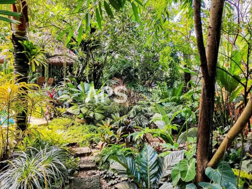 Villa With Swimming Pool For Sale | Koun Satv | Kampot Province