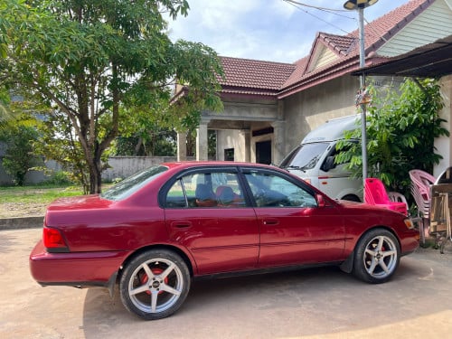 ឡានស្អាតអត់បុកអត់ប៉ះ តម្លៃល្អសំរាប់អ្នកប្រើ លេងយ៉ានរួច