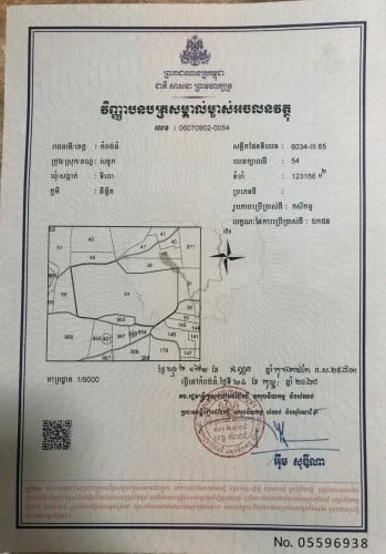 ដីចំការស្វាយចន្ទីអាយុ៦ឆ្នាំ