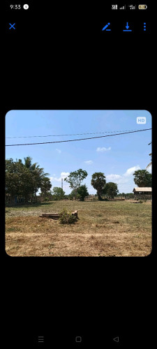 ដីលក់បន្ទាន់តម្លៃក្រោមទីផ្សារ ដីនៅខេត្ដសៀមរាប