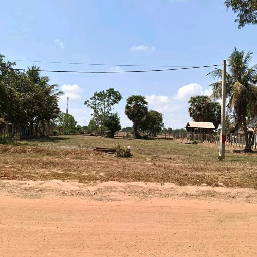 ដីលក់បន្ទាន់តម្លៃក្រោមទីផ្សារ ដីនៅខេត្ដសៀមរាប