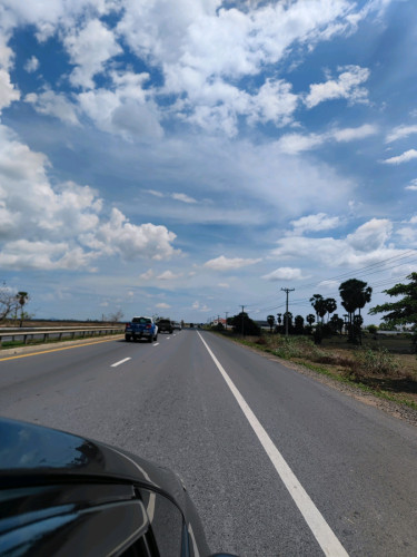 ដីលក់ទីតាំងមានសក្តានុពលខ្លាំង (ប្លង់រឹង)