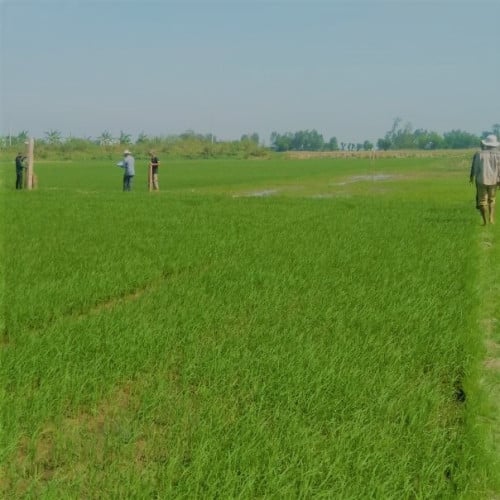 #ទីតាំងល្អជាប់ព្រំប្រទល់ប្រទេសវៀតណាម