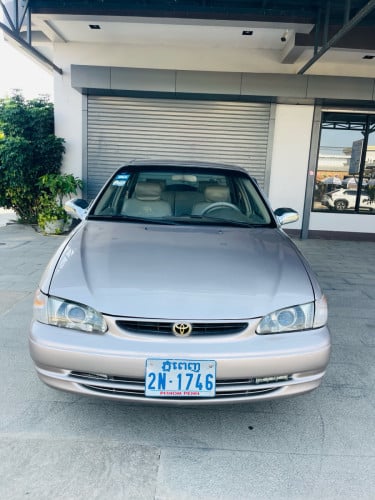 ឆ្នាំ1998ពណ៍មាស