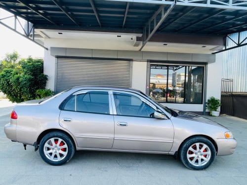ឆ្នាំ1998ពណ៍មាស