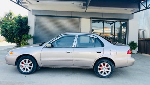 ឆ្នាំ1998ពណ៍មាស