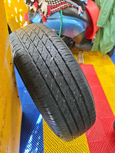 លក់កង់សាគួ 55$