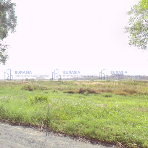 ឱកាសវិនិយោគ! ដីលក់បន្ទាន់ | INVESTMENT OPPORTUNITIES! URGENT LAND FOR SALE
