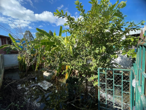 🏦Land Available for Urgent Sale at a Special Price (Negotiable).
