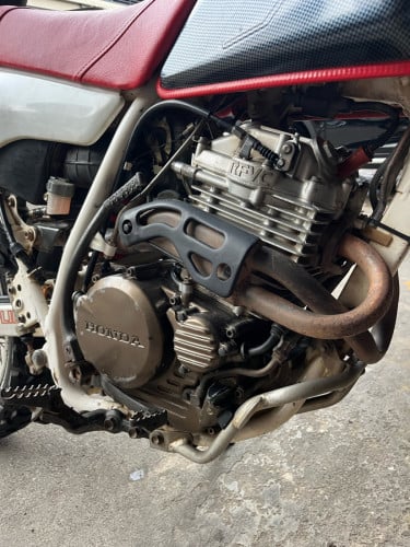 Baja XLR