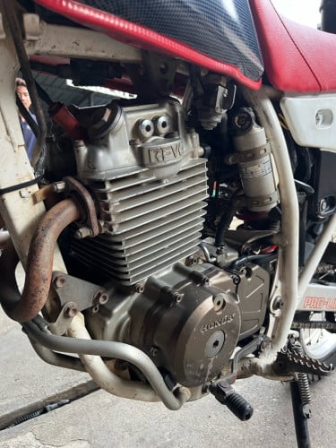 Baja XLR