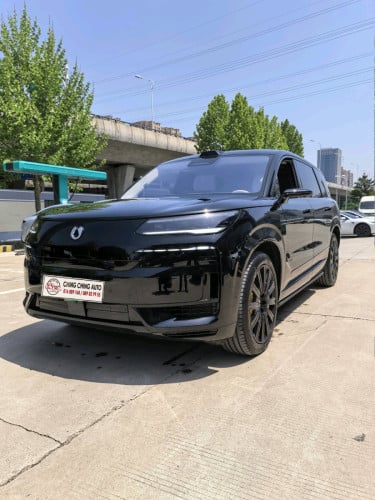 Denza N9 flagship Black edition