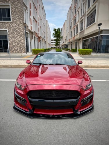 ford mustang ,full options ,2015 ,ឡាន​ក្រុមហ៊ុន​ ខ្លាញ់​គោ​