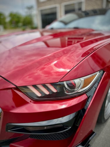 ford mustang ,full options ,2015 ,ឡាន​ក្រុមហ៊ុន​ ខ្លាញ់​គោ​