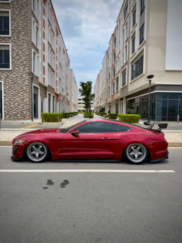 ford mustang ,full options ,2015 ,ឡាន​ក្រុមហ៊ុន​ ខ្លាញ់​គោ​