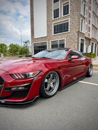 ford mustang ,full options ,2015 ,ឡាន​ក្រុមហ៊ុន​ ខ្លាញ់​គោ​