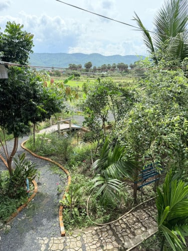 Homestay for rent at Kampot