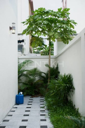 Link Villa for Rent at Borey Orkide The Botanic City
