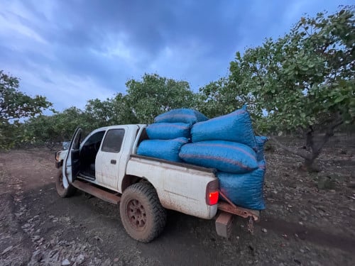 Toyota hilux 1996 លក់