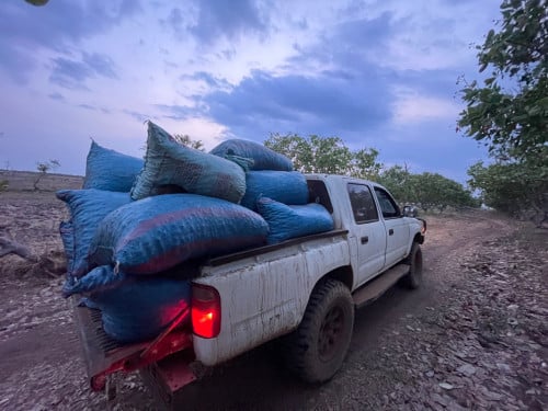 Toyota hilux 1996 លក់