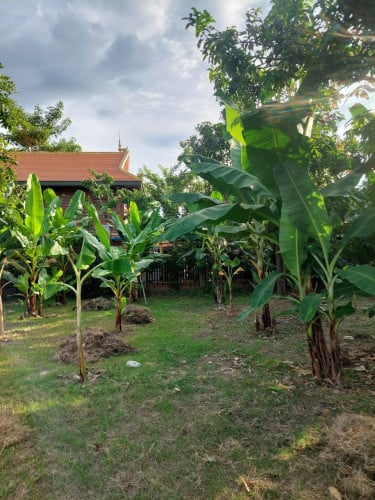 ដីចម្ការលំហែរ