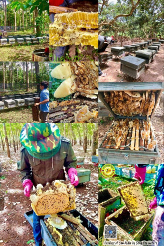 ទឹកឃ្មុំឆៅសុទ្ធ ៣លីត្រ ១០៥០០០៛ ហ្វ្រីសេវាដឹកជូន មានវិធីពិសោធន៍ទឹកឃ្មុំសុទ្ធ