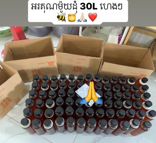 ទឹកឃ្មុំឆៅសុទ្ធ ៣លីត្រ ១០៥០០០៛ ហ្វ្រីសេវាដឹកជូន មានវិធីពិសោធន៍ទឹកឃ្មុំសុទ្ធ