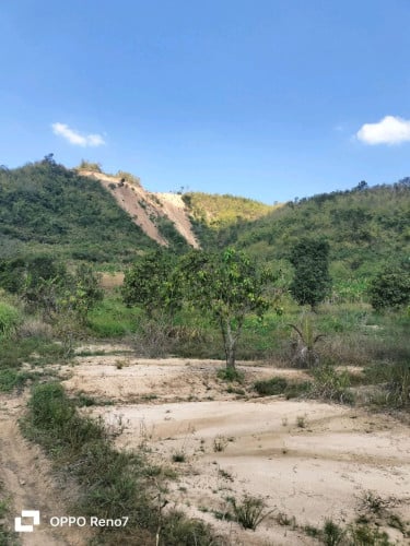 ដីលក់