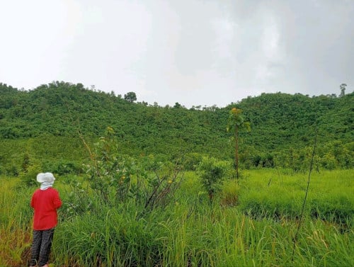 ដីលក់