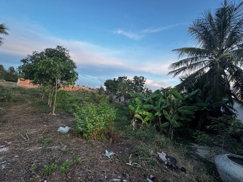 ដី​នៅ​លេីផ្លូវ​ជាតិ​លេខ​ 2​ ជិតក្រុងដូន​កែវ​លក់បន្ទាន់