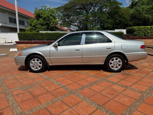 ឆ្លាមឆ្នាំ2001