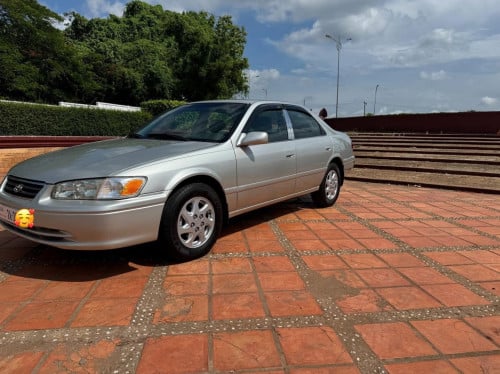 ឆ្លាមឆ្នាំ2001