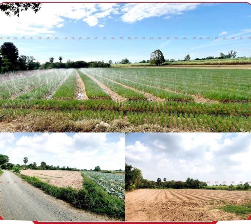 ដីសំរាប់លក់ធ្វេីឃ្លាំងឬរោងចក្រ​ ជាប់ផ្លូវជាតិលេខ​21 ស្អាង​ កោះធំ​ ជ្រៃធំ