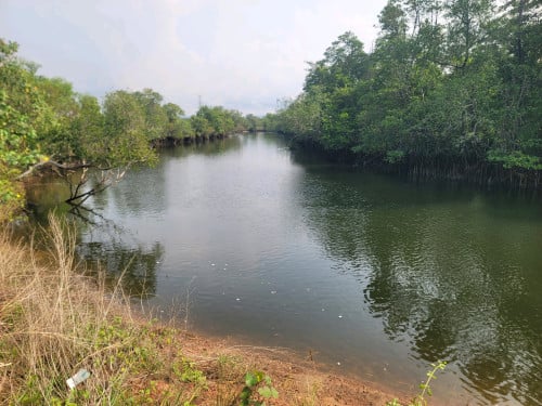 ដីលក់ជាប់ផ្លូវជាតិ48 ខាងក្រោយជាប់ព្រែក