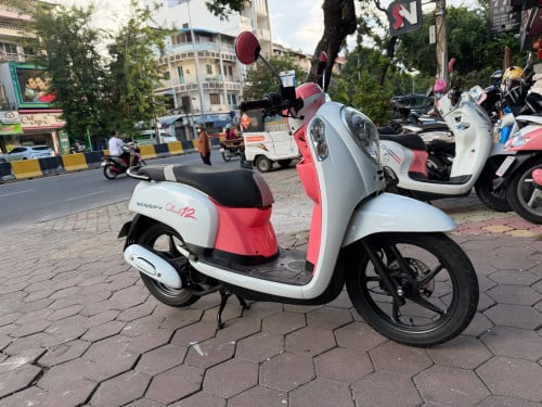 លក់ scoopy ក្រុមហ៊ុនមានពន្ធត្រឹមត្រូវ