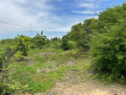 🏦Land Available for Urgent Sale at a Special Price (Negotiable).
