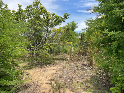 🏦Land Available for Urgent Sale at a Special Price (Negotiable).