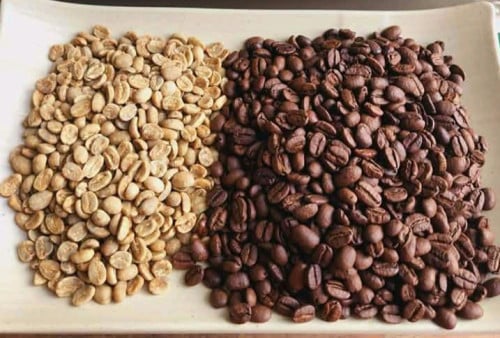 👋Coffee processing and Quality it☕🌿