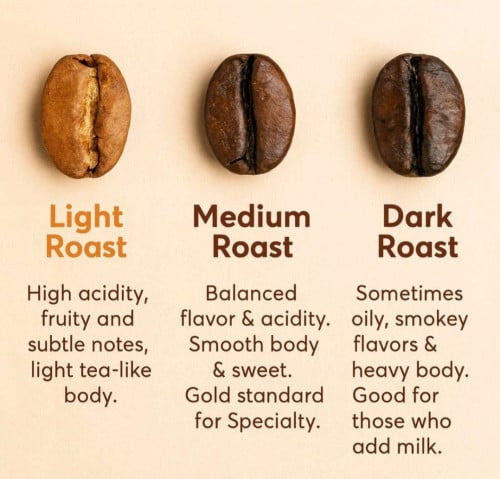 👋Coffee processing and Quality it☕🌿