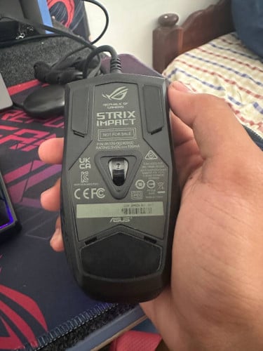 Asus Zin