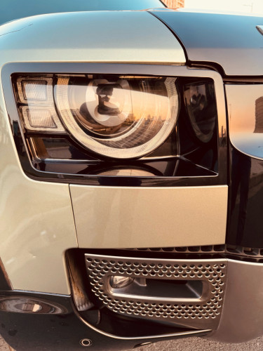 Defender XDynamic 2022