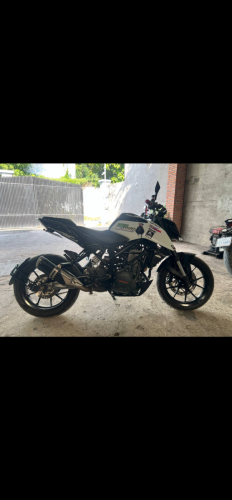 Duke 2017  980$