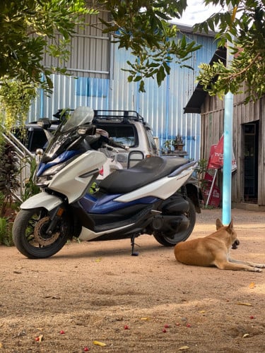 Forza 250CC ម៉ូតូស្អាតត្រួតពិនិត្យការប្រើប្រាស់រួចនិងប្ដូរប្រេងថ្មីទាំងអស់