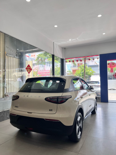 Geely GEMOME (Full option) Range 410km