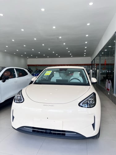 Geely GEMOME (Full option) Range 410km