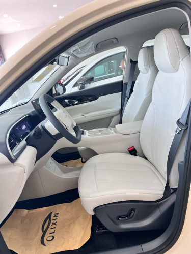 Geely GEMOME (Full option) Range 410km