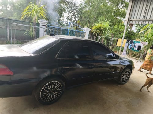 វៃដូរ Honda Accord 2000