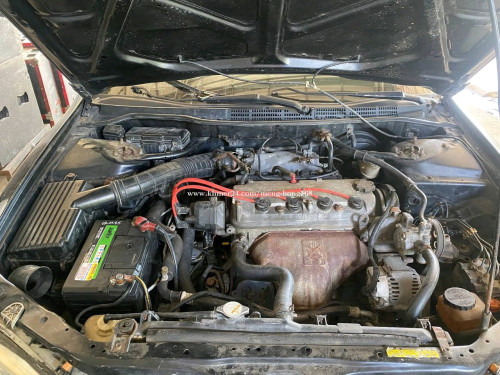 វៃដូរ Honda Accord 2000