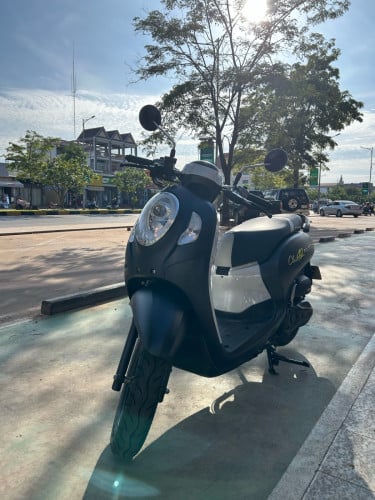 Honda Scoopy 2024y ម៉ូតូស្អាត សន្នុំស៊ីន រំលស់សុទ្ធ100%