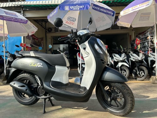 Honda Scoopy 2024y ម៉ូតូស្អាត សន្នុំស៊ីន រំលស់សុទ្ធ100%